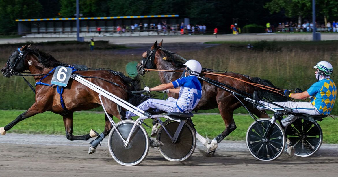 Elitloppet odds