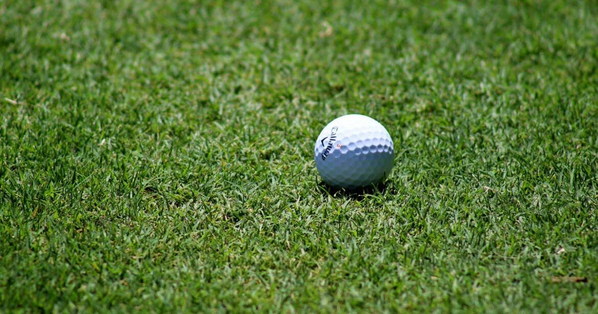 pga-championship-ludvig-aberg
